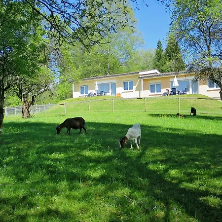 Bungalow 2-zimmer 100s Nyaraló Maierhöfen
